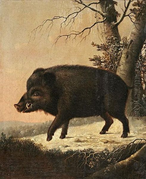 Retrato De Un Jabali Cazado Por El Conde De Darmstadt Oil Painting by Eloy Seyfert