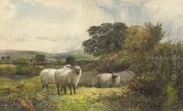 Sheep Resting In A Field On A Sunny Day Oil Painting by George Shalders