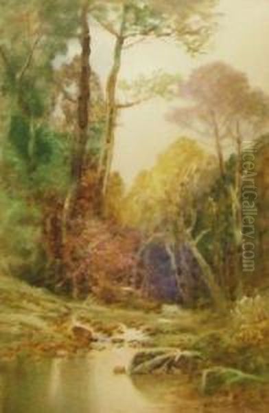 A Woodland Pool Oil Painting by John Shapland