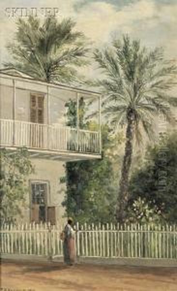 Dr. Pack's Palm Trees, St. Augustine, Fla. Oil Painting by Frank Henry Shapleigh