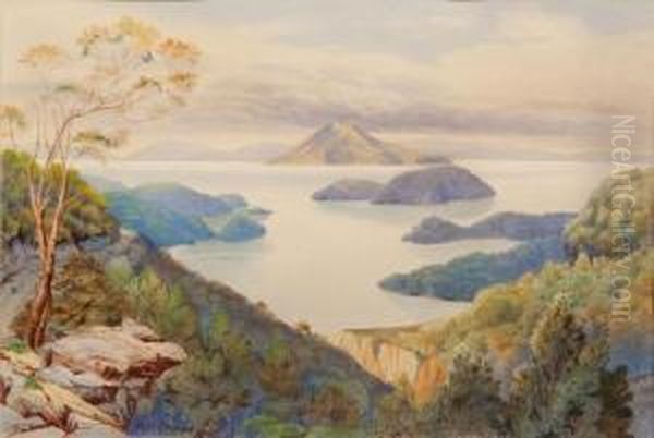 Pelorus Sounds Oil Painting by Alfred Sharpe