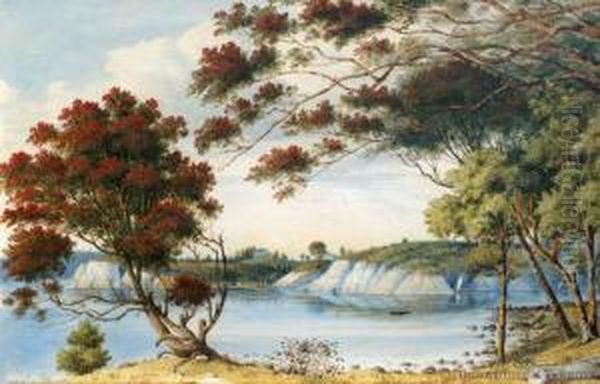 Shoal Bay, Auckland Harbour, Nz Oil Painting by Alfred Sharpe