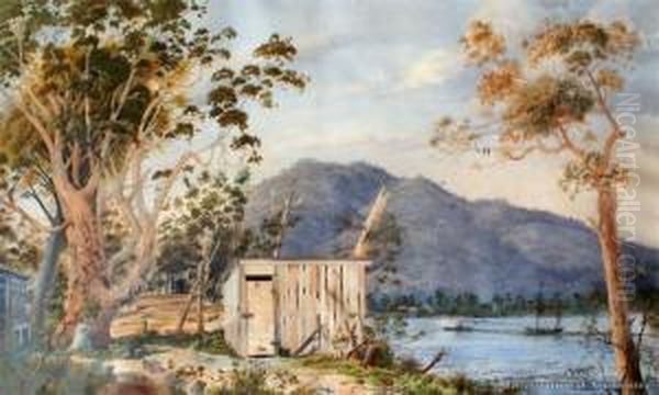 Speers Point & Lake Macquarie, Newcastle Oil Painting by Alfred Sharpe