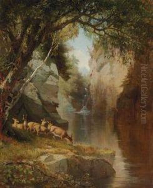 Deer In The Adirondacks Oil Painting by Aaron Draper Shattuck