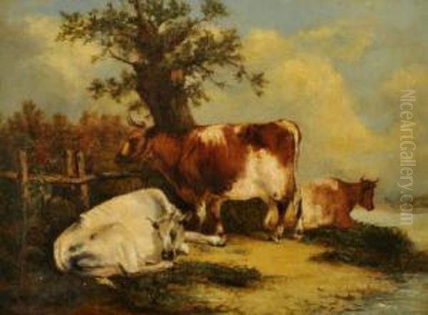 Cattle By A Wooden Fence Oil Painting by Charles Waller Shayer