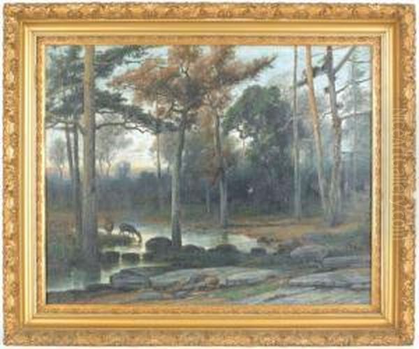 Landscape With Deer Drinking From A Stream Oil Painting by Christopher H. Shearer