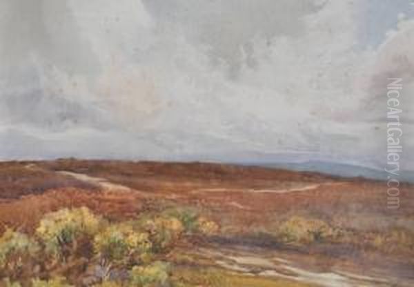 North Downs Nearguildford Oil Painting by Charles Shepherd