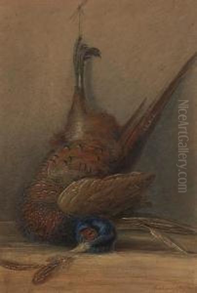 Pheasant In The Larder Oil Painting by George Sidney Shepherd