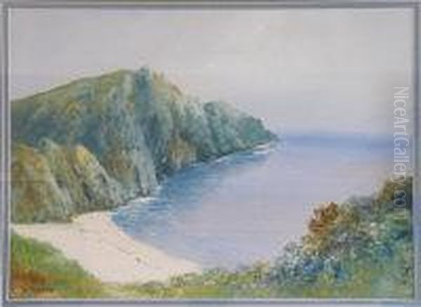 Cornish Coast Oil Painting by Daniel Sherrin