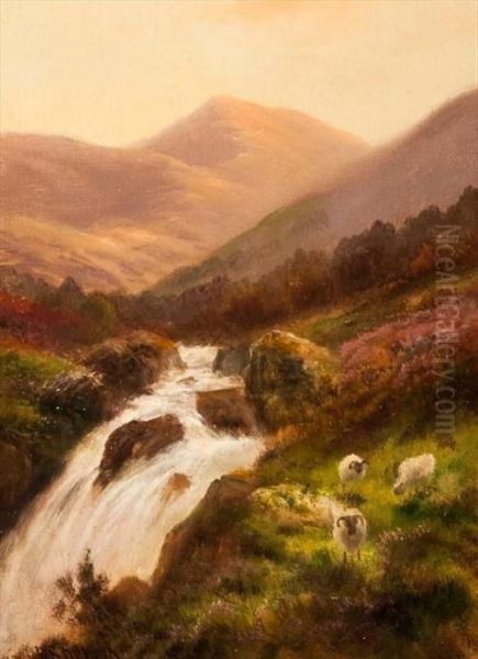 Highland Burn With Sheep Oil Painting by Daniel Sherrin