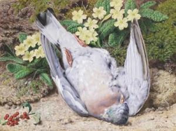 Still Life Of A Pigeon With Primroses On A Mossy Bank Oil Painting by John Sherrin