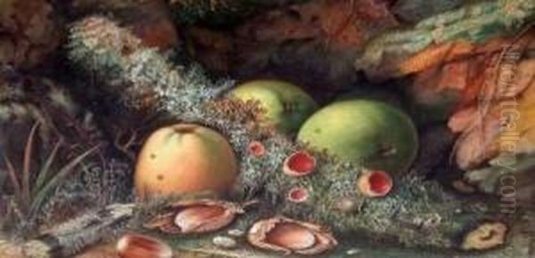 Still Life Study Of Fruits And Nuts On A Mossy Bank Oil Painting by John Sherrin