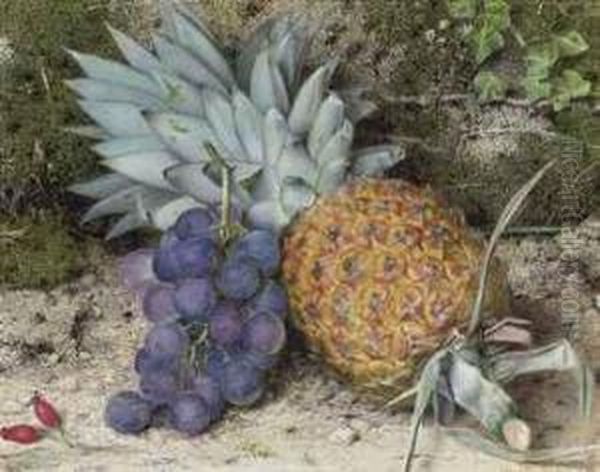 Still Life Of A Pineapple And Grapes On A Mossy Bank Oil Painting by John Sherrin