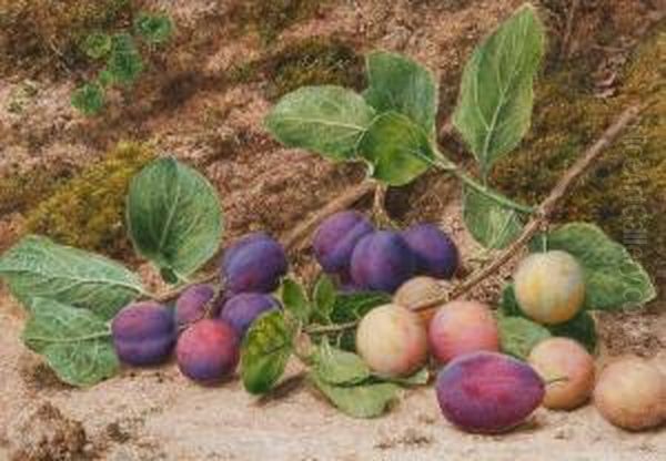 Still Life Of Plums On A Mossy Bank Oil Painting by John Sherrin