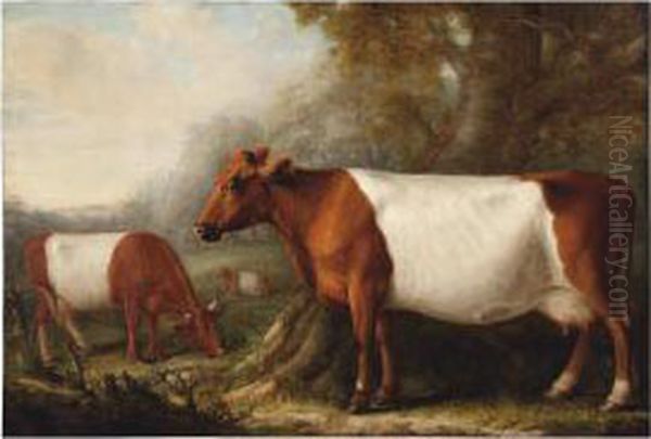 Cattle In The Forest Clearing Oil Painting by William Shiels