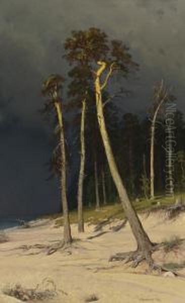 Sandy Coastline Oil Painting by Ivan Shishkin