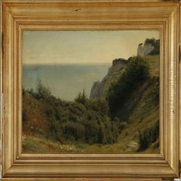 Summer Day At The Cliffs Of Stevns Oil Painting by Hermann Carl Siegumfeldt