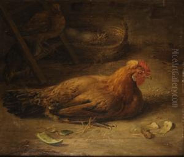 Gallina by Joaquin Siguenza