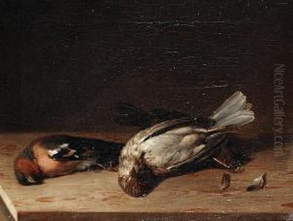 Still Lifes Of Fallen Birds Oil Painting by Joaquin Siguenza