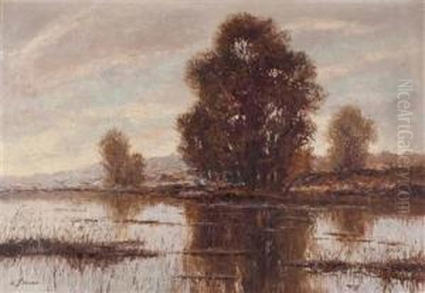 Morgenstimmung Inder Lobau Oil Painting by Rolf Sigurd