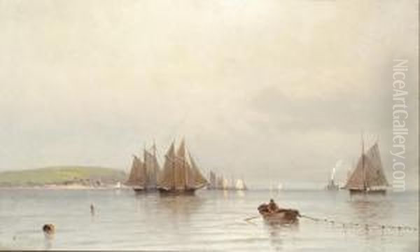 Sailboats In New York Bay Oil Painting by Francis Augustus Silva