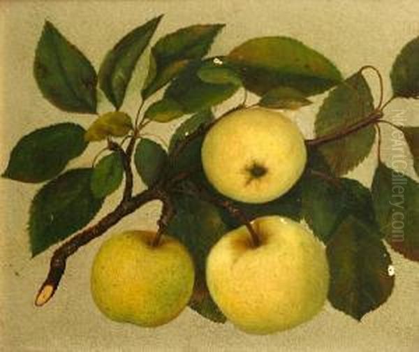 Apples From Rock Hill Farm Oil Painting by Beda Simpson