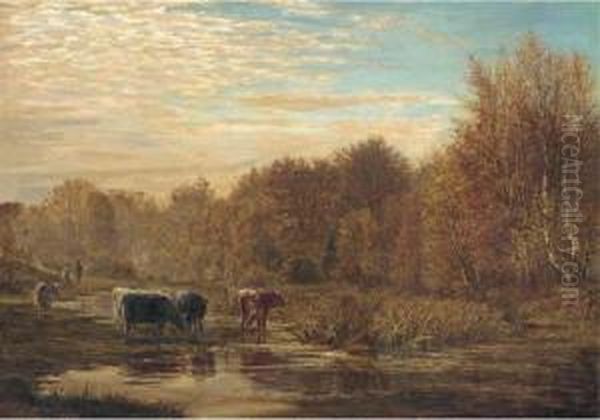 Cattle Watering At Sunset Oil Painting by William Simpson