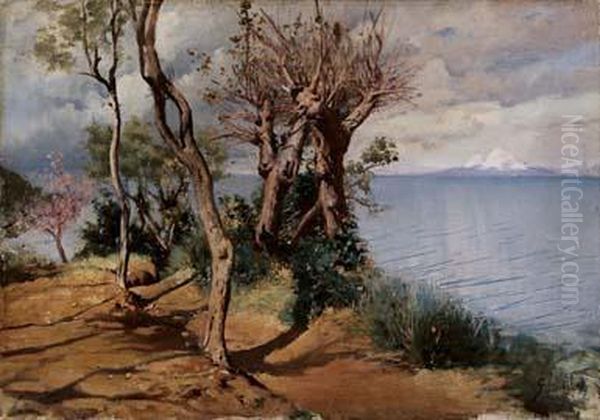 Il Vesuvio Innevato Oil Painting by G. Sinibaldi