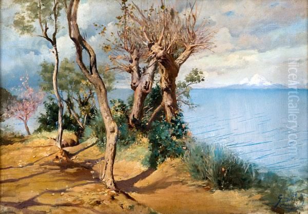 Il Vesuvio Innevato Visto Da Capri Oil Painting by Paolucci Goffredo Sinibaldi