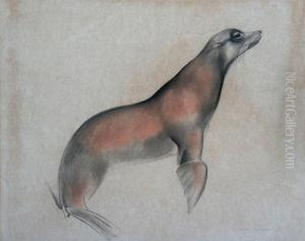 Study Of A Seal Oil Painting by John Skeaping