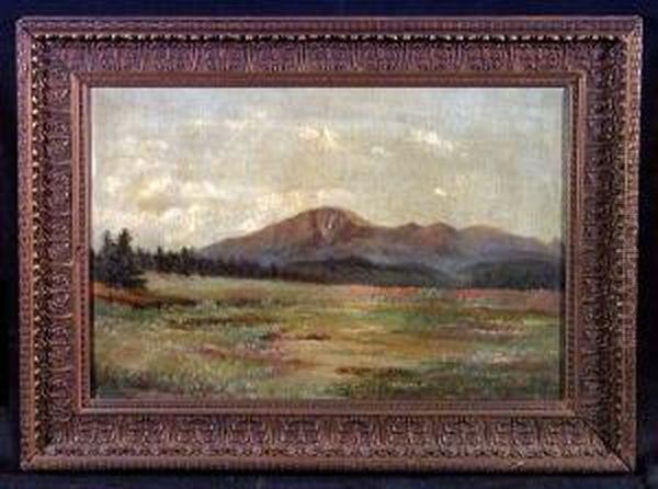 A Meadow Landscape With Mountains In The Distance Oil Painting by Leslie James Skelton