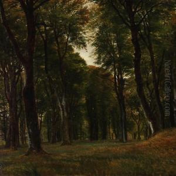 Forest Scene With Tall Trees Oil Painting by P. C. Skovgaard