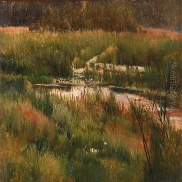 Summer Day At A Bog Oil Painting by Peter Christian T. Skovgaard