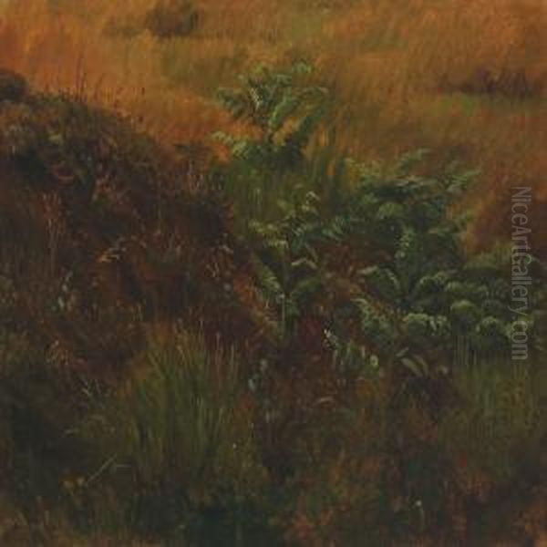 Study Of Fronds And Gras Oil Painting by Peter Christian T. Skovgaard