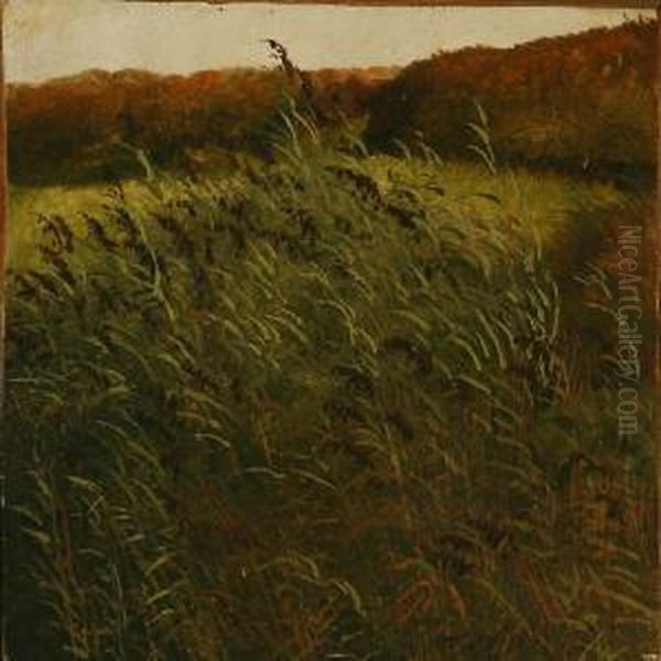 Landscape. Oil Painting by Peter Christian T. Skovgaard