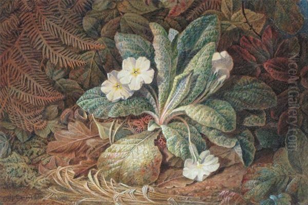 Still Life Of Primroses And Ferns On A Bank Oil Painting by Charles Henry Slater