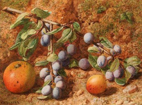 Still Life Study Of Plums And Apples On A Mossy Bank Oil Painting by Charles Henry Slater