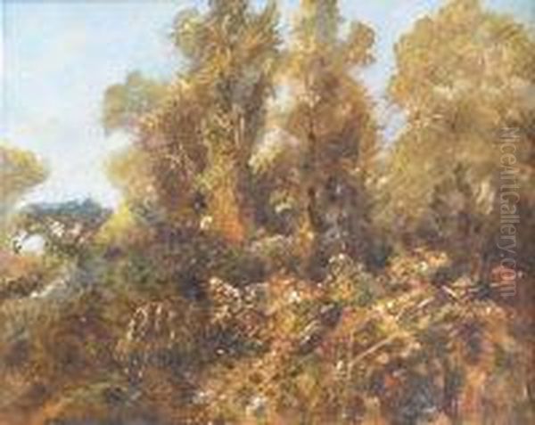 Wooded Landscape Oil Painting by John Falconar Slater