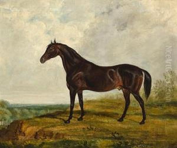 A Dark Bay Stallion In An Extensive Landscape Oil Painting by J.W Sloan