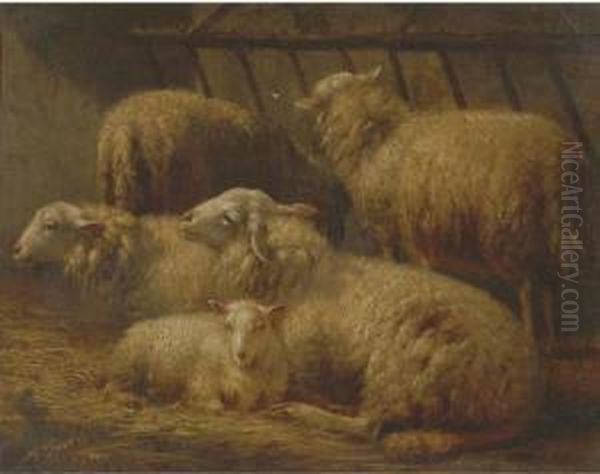 Sheep In A Stable Oil Painting by Albert Smets