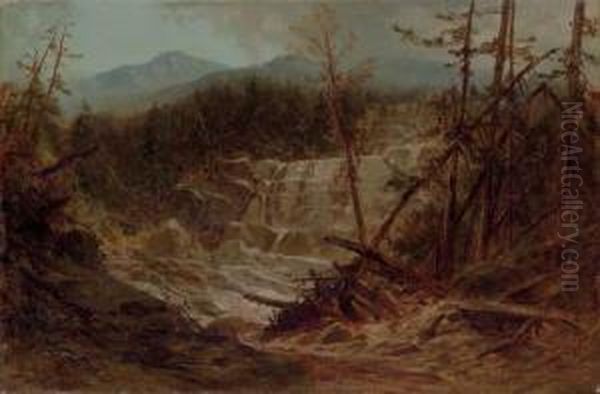 Stream In The Adirondacks Oil Painting by James David Smillie