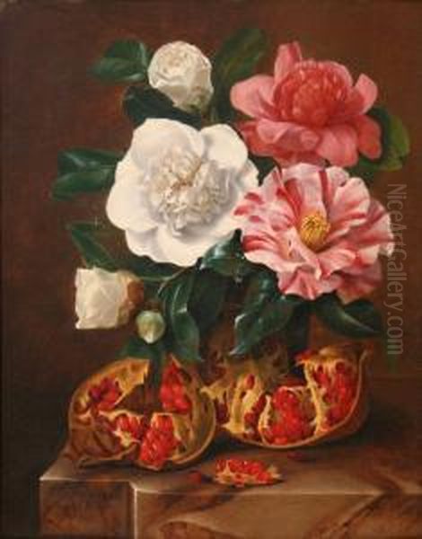 Still Life Study Of Camellias And Pomegranates On A Marble Ledge Oil Painting by Johann Carl Smirsch