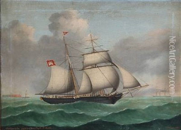 The Brig Mariquinha Oil Painting - Peter Christian Holm