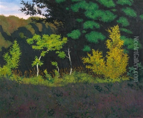 Lisiere De Foret Oil Painting - Felix Vallotton