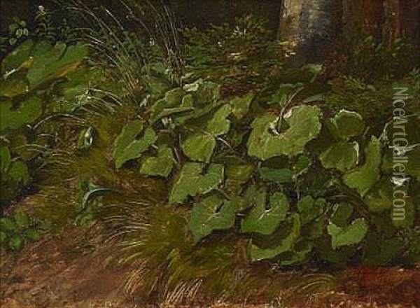 Waldboden Mit Huflattich Oil Painting - Johann Sperl