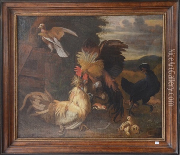 Combat De Coqs Oil Painting - Melchior de Hondecoeter