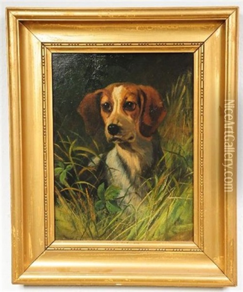 Portrait Of A Beagle Oil Painting - Maud Earl