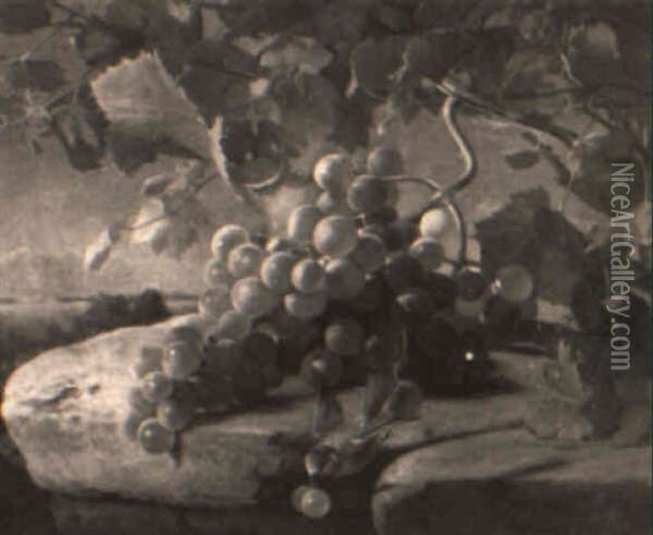 Still Life With Fruit On A Ledge Oil Painting - Carl Vilhelm Balsgaard