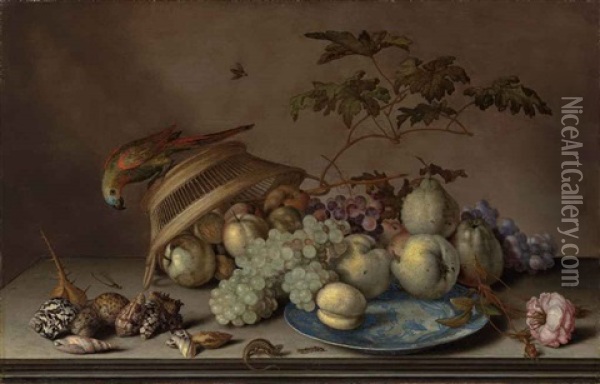 Pears, Grapes And A Peach On A Porcelain Platter, With Apples, A Rose, Shells, A Dragonfly, A Caterpillar And A Lizard On A Stone Ledge... Oil Painting - Balthasar Van Der Ast