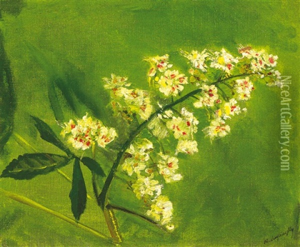 Chestnut Flowers Oil Painting - Laszlo Mednyanszky